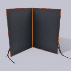 Porfolio