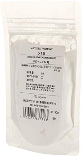 Kusakabe Pigment Bologna Plaster 383516