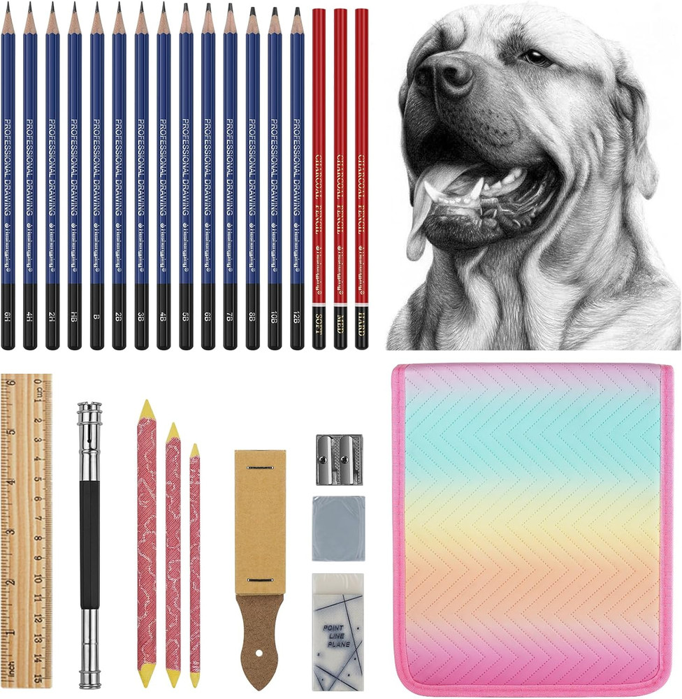 27 Piece Drawing Sketch Pencil Set for Artists Beginners Graphite & Charcoal Kit