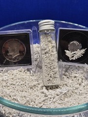❄️Pure Silver Bullion 1 Troy Oz .9999 Pure Fine Silver Crystal -“Double Refine”