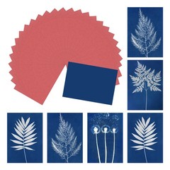 Cyanotype Paper, 12 Sheet Sun Print Paper Kit Red Crafts Paper 8.3×5.8″