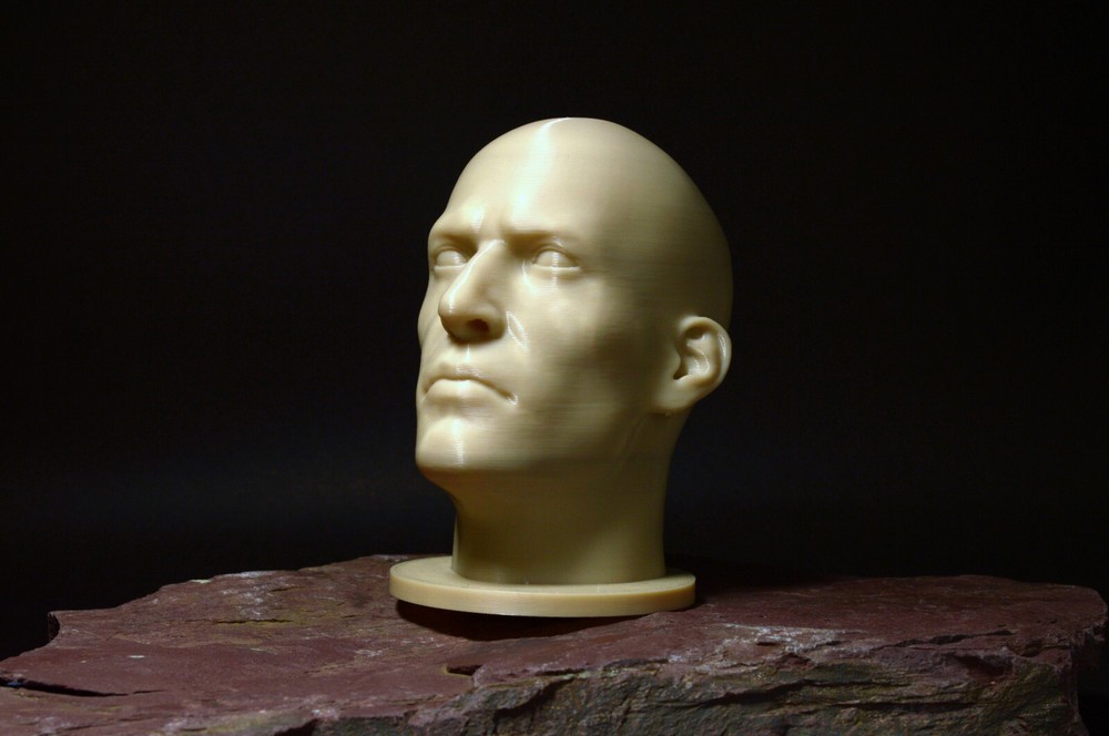 Male Realistic Head Bust – Portrait Reference Tool – Multiple Sizes