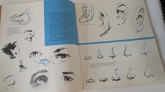 1966 art book the art of drawing heads and hands
