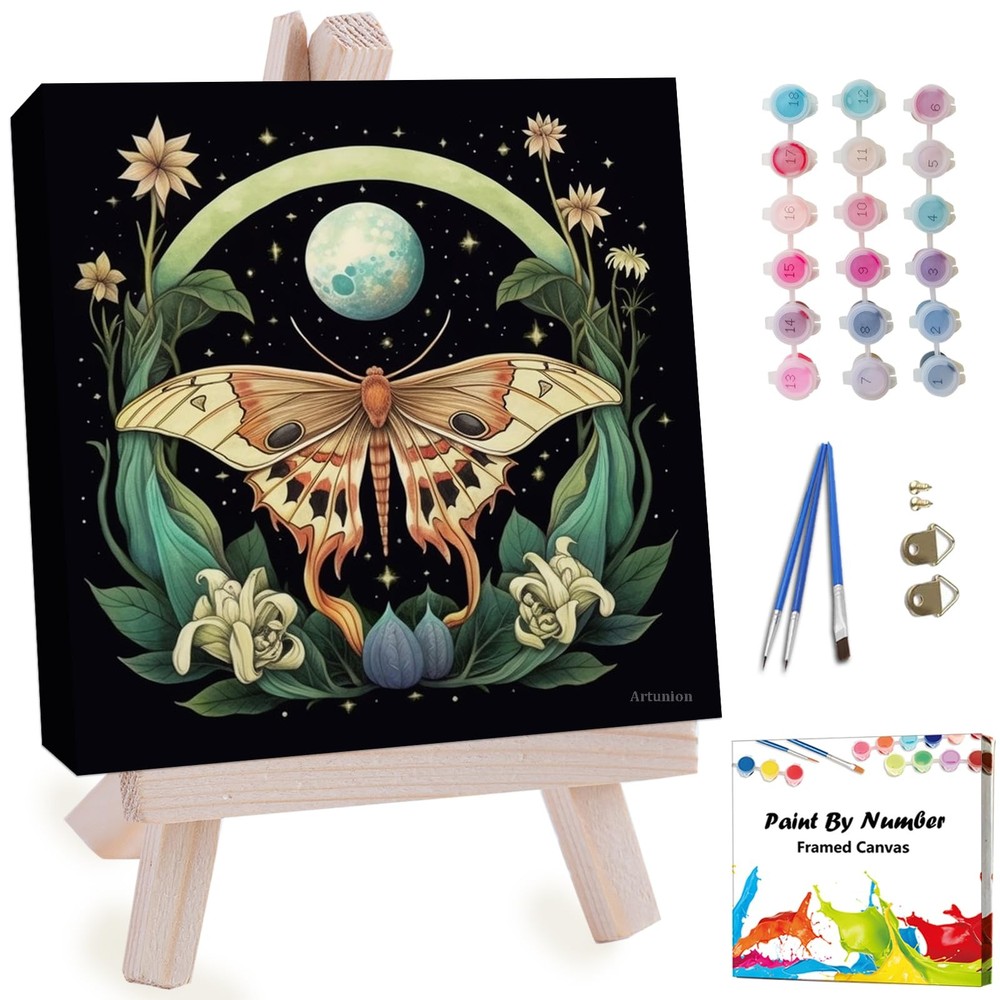 Framed 10×10 Inch Paint By Numbers Kit For Adults Wall Art DIY Beginner Kit