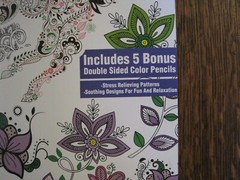 🎨CREATIVE CHARM ADULT TEEN COLORING BOOK 100 DESIGNS 5 COLOR PENCILS NEW 