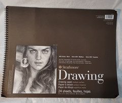 Strathmore (400-7 400 Series Drawing Pad, 14″x17″, Ivory/Cream