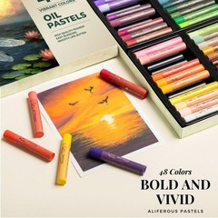 48 Color Oil Pastel Set – Soft Pastels for Artists & Kids – Professional Art Sup