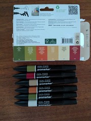 Winsor & Newton PROMARKER Twin Tip Marker Pens LANDSCAPE TONES 1 Set of 6