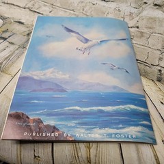 Vintage Drawing And Painting Gulls And Other Sea Birds Book By Ena K Grant