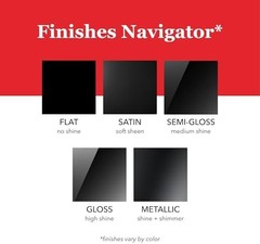 Krylon K05562007 COLORmaxx Acrylic Clear Finish for Indoor/Outdoor Use, Satin Cr