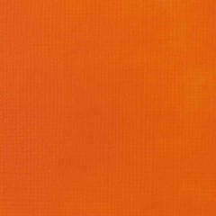 Creatively Express Yourself with BASICS 250ml Acrylic Paint – Cadmium Orange