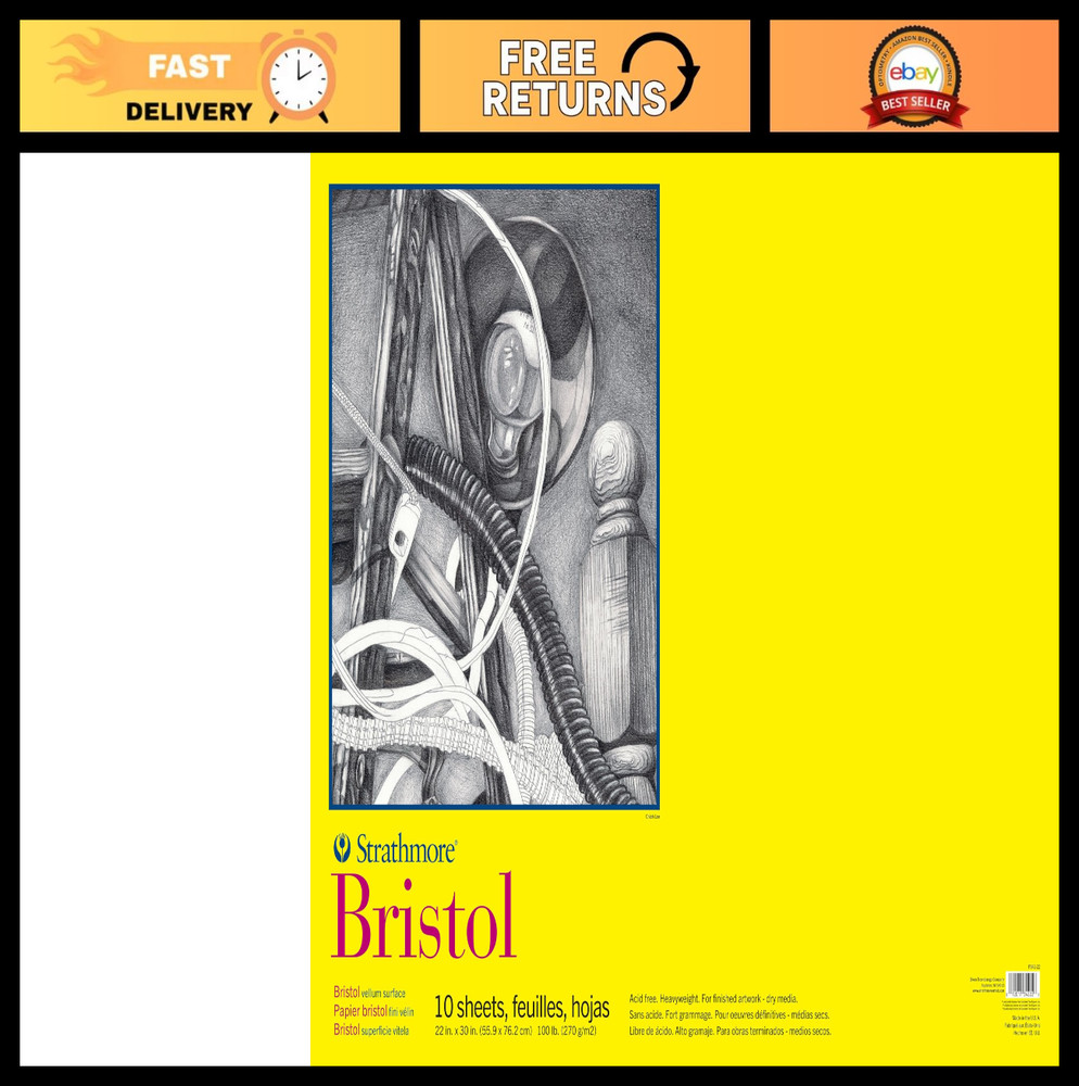 Bristol Vellum Pad for Artists & Students, 22×30 inches, 10 Sheets for Drawing &