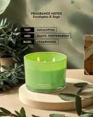 Luxury Eucalyptus & Sage Soy Candle | Large 3 Wick Jar Candle | Up to 50 Hours B