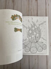 Adult Coloring Books Christmas Winter Wonderland + Stained Glass Teen Activity 2