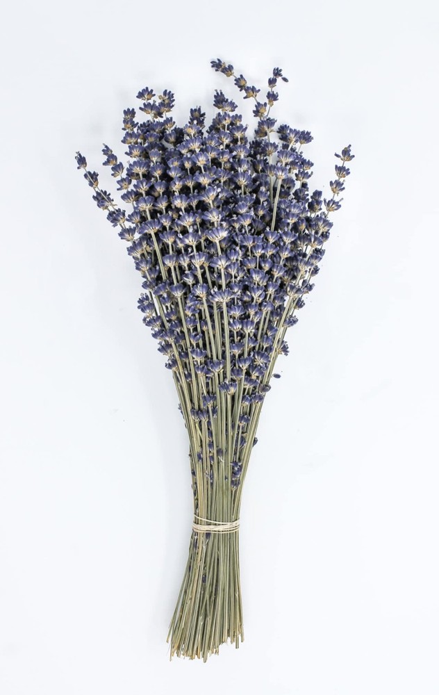 CalCastle Craft 1/2 LB Natural Dried Lavender Extra Tall Bundle Original Natura