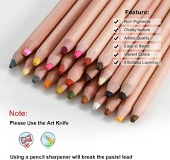 Pro Pastel Chalk Colored Pencils,24 Colors portrait set,Color Charcoal Pencil…