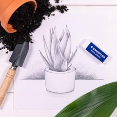 STAEDTLER Mars Plastic, Premium Quality Vinyl Eraser, White, Latex-free,