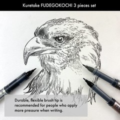 Kuretake Zig FUDEGOKOCHI Brush Pen, 3 variety set, Office Product
