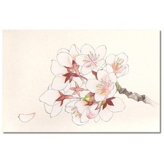 Kissho Gansai Japanese Watercolor Paint New 24 35 48 72 100 Colors Set Japan