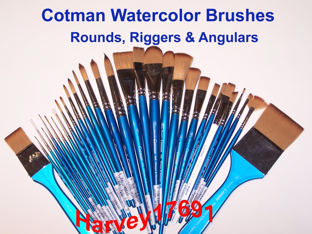 Winsor & Newton Cotman Watercolor Brushes – Rounds, Riggers & Angulars – NEW!