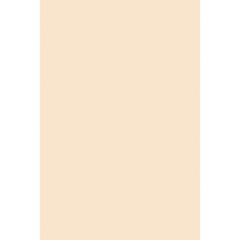 5184 Medium Weight Tagboard 18×12 Inch Manila 100 PCS Art Craft Drawing Board