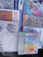 12 Adult Coloring Books And 60 Pack Of Gel Pens