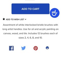 Dynasty B-1400-AF Flat White Bristle Hair Long Handle Brushes Set of 60