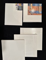 Practica Painting Canvas 2-Pack And 3 10×10 Canvas 1 8×10 Canvas