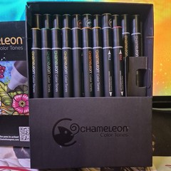 ​Option 2 (High Search Volume): Chameleon Color Tones Deluxe 20 Marker Set