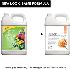 Clear Crowning Glory 1 Gallon