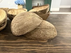 Natural Coconut Shell Halves set of 10