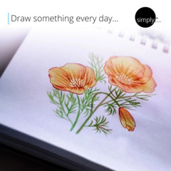 Notebook Sketchbook Drawing Art Book Hardbound with Unlined Pages 8.5”x11” .