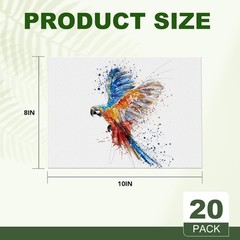 20 Pack Cotton Canvas Boards 8×10 for Painting Canvas Art Supplies Canvases