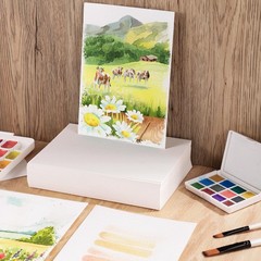 80 Sheets Watercolor Paper Bulk, 110 lb/230 GSM Cold Press Paper White Water …