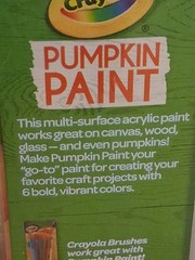 Crayola Pumpkin Paint Great on Multiple Surfaces (AUTUMN Colors)