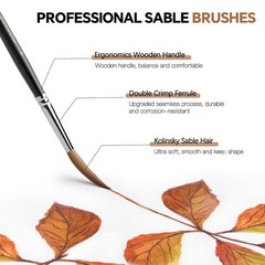 Watercolor Brushes Professional, 2pcs Kolinsky Sable Brushes, 1pc Pure Squirr…