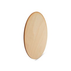 Unfinished Wood Circles, 5 x 1/8 inch Discs with Rustic Dark Edge | Woodpeckers