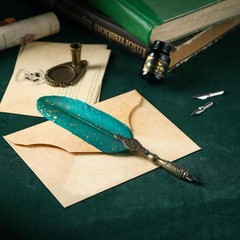 Feather Pen and ink Set with Wood Dip Pen with 1 Black Ink & 2 Replacement Nibs