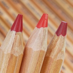 Holbein Artists’ Watercolor Pencil Set of 50 – Complete Range WP195