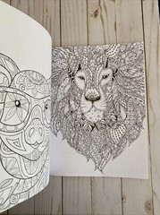 Adult Coloring Book Fox Owl Fantasy Designs To Enchant Teen Activity Gift Idea