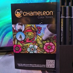 ​Option 2 (High Search Volume): Chameleon Color Tones Deluxe 20 Marker Set