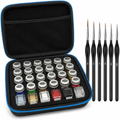 Model Paint Storage Case for Testors Paints (Holds 30 Bottles) with 6 Fine Detai
