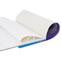 8″ x 10″ 10-Sheet 8-Ounce Triple Primed Acid-Free Canvas Paper Pad (2 Pads)