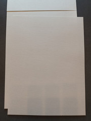Canson Figueras Canva-Paper Linen Canvas Texture 290g 10 Loose Sheets 9″ x 12″