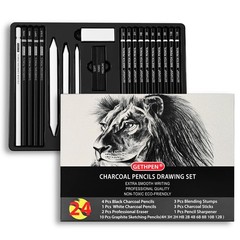 Drawing Sketching Pencil Set, 24 Piece Pro Artist 1 Count (Pack of 24), Black