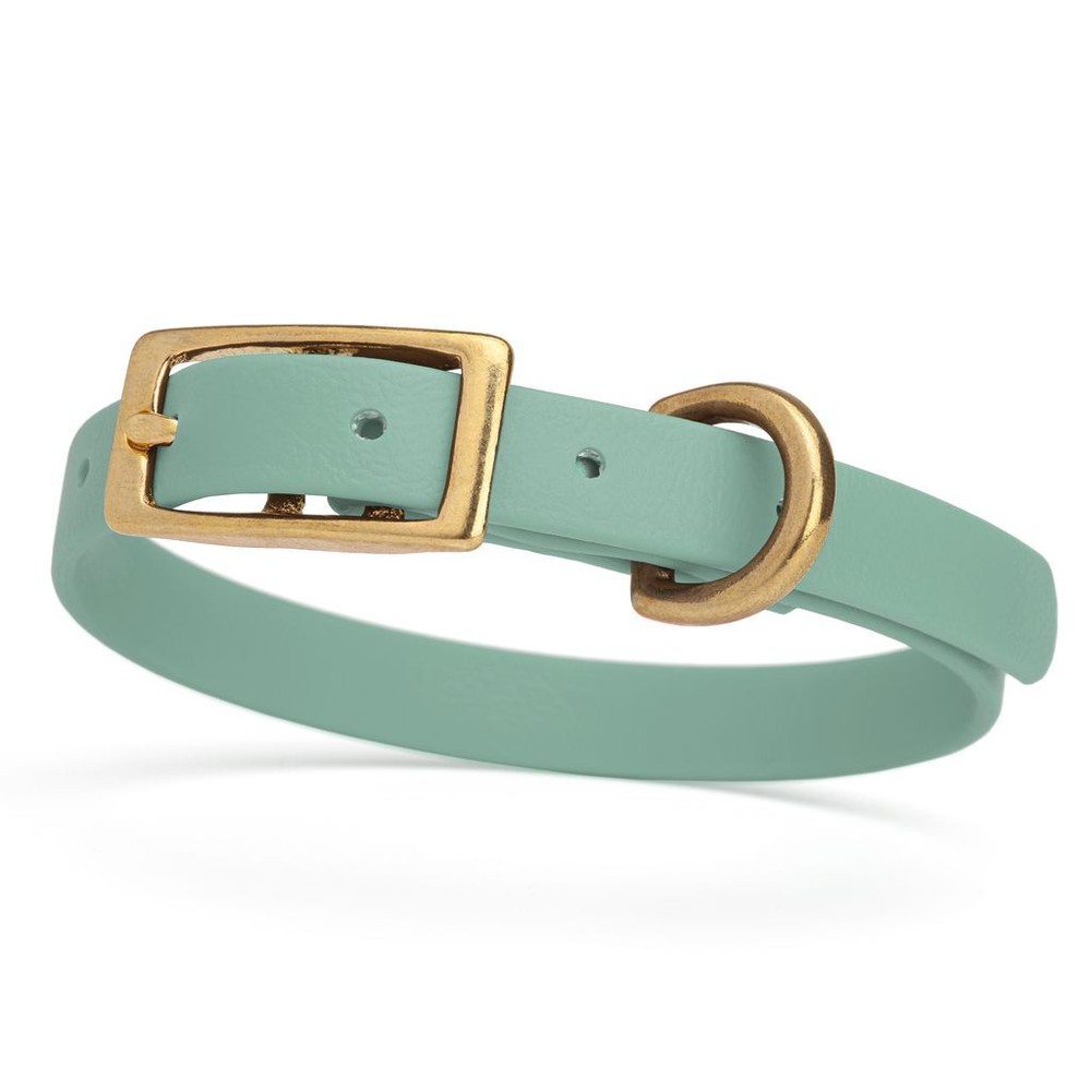Dog Pet Collar with Brass Hardware Size XS W 1/2” L 9” – 12” Sage Green