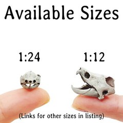 Alligator Snapping Turtle Skull – 1:12 Scale replica for diorama, dollhouse