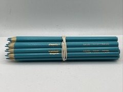 (20) Crayola Colored Pencils (turquoise) BULK