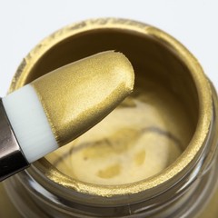 Pearlescent 18K Gold Acrylic Leather Paint 4oz