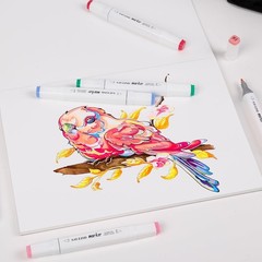 168 Colors Alcohol Markers – Dual Tip Markers for Kids or Adults in Coloring